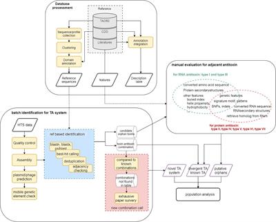 Characterization of toxin-antitoxin systems from public sequencing data: A case study in Pseudomonas aeruginosa